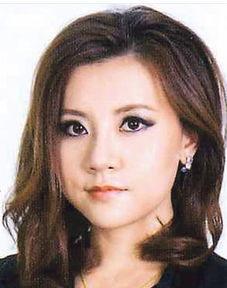 香港新闻女主播陈,香港新闻女主播的职业生涯与影响力