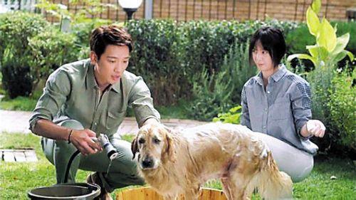 搞笑悲情背景音乐,人生百态尽收眼底