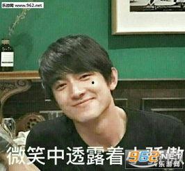 林更新微信表情包,趣味横生，笑点满满