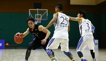 娱乐圈明星篮球排行