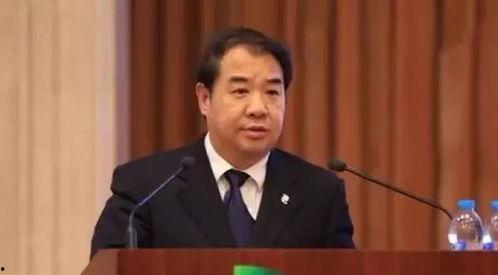 孟振平 背景,从基层奋斗到行业翘楚的传奇人生