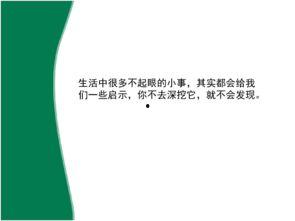 生活中的启示资料,从日常点滴中汲取智慧