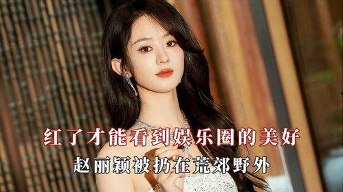 娱乐圈之赵丽颖同人